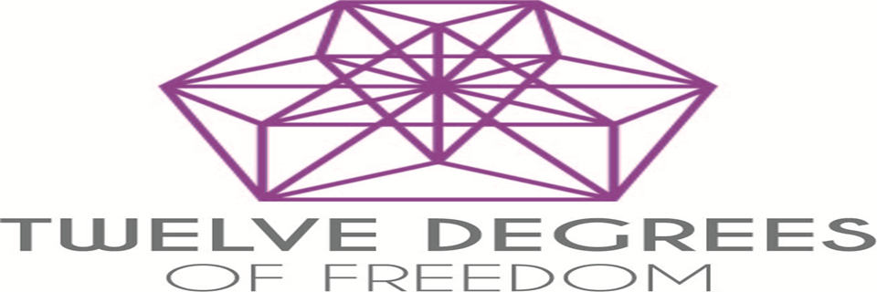 12 Degrees of Freedom logo